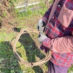 蔦差し上げます。の画像
