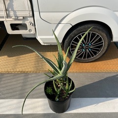 長靴サイズ3Ｌの画像