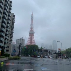 本日19時〜　東麻布　合コン　女性募集