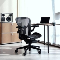 アーロンチェア　リマスタードフル装備　Bサイズの画像