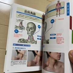 【美品】触診術の基本　本の画像
