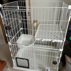 猫　3段ゲージ