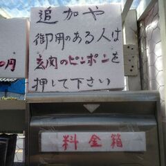 野菜苗5点200円コーナーにニラの苗を追加品出ししました。の画像