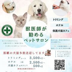 ペットサロンのコントローラー兼犬猫のお世話