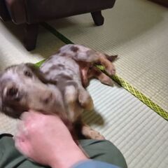 今日門司区に迎えにきてもらえる方