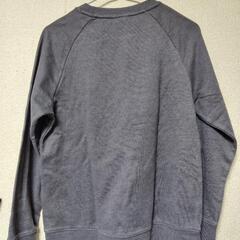 Patagoniaのトレーナーの画像