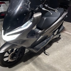 pcx125 JF81