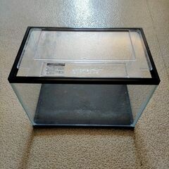 透明アクリルケース