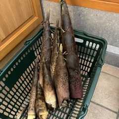 『お取引き決定』完全無添加無農薬自然の天然竹の子8本の画像