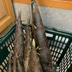 『お取引き決定』完全無添加無農薬自然の天然竹の子8本の画像