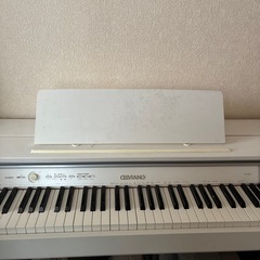 ジャンクカシオ　セルヴィアーノの画像