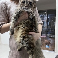 とても良い子達です