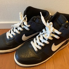 NIKE ダンクハイ 25.5cm