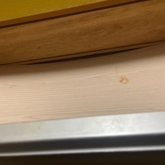 GW中お取引で800円でお譲りします！の画像