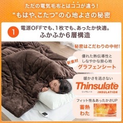 【定価11990円】電気毛布　セミダブル　　タンスのゲン　の画像