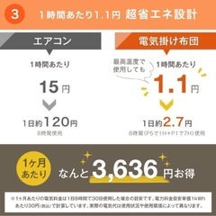 【定価11990円】電気毛布　セミダブル　　タンスのゲン　の画像