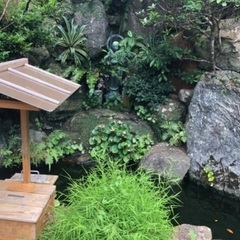 7/5(土)達磨寺ヨガ&クリスタルボウル🥣の画像