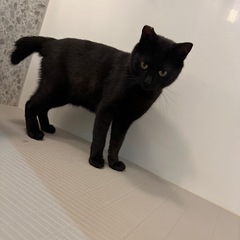 【決まりました(*´꒳`*)】とってもやんちゃな男の子ですヽ(^o^) - 亘理郡