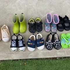 幼児15から16センチの画像