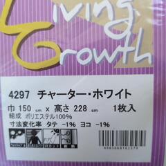 レースカーテン     巾150×高さ228の画像