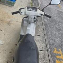 セピアの画像