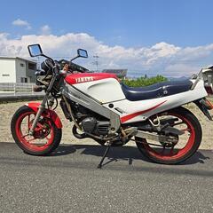 【不動車】TZR125 3TY 2stの画像