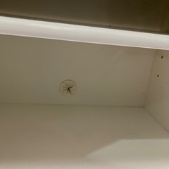 ニトリ　ローボードの画像