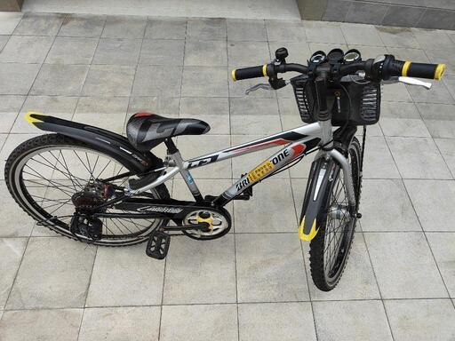 ブリジストンクロスファイヤー子供自転車24インチ (しゃくじい