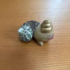 金運ちゃんの画像