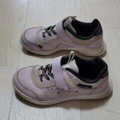 瞬足　20.０センチ　紫色の画像