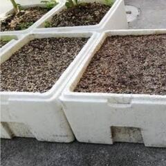 発泡箱の画像