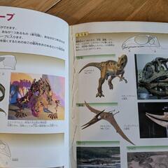 恐竜図鑑の画像