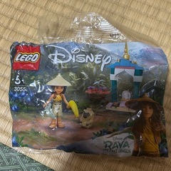 LEGO ディズニー　ラーヤ　30558
