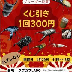 西岡クワカブLabo 4/29 ㊗開催 11時オープン