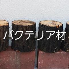 ①好評価の大売り出しは!! バクテリア産卵材