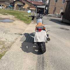 TW225の画像