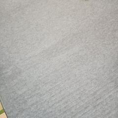 三菱ホットカーペット、かなりお値打ちにお譲り致しますの画像