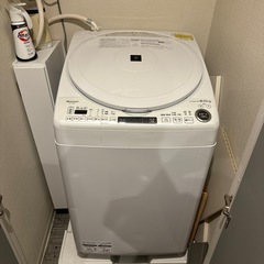 27日限定　シャープ　洗濯機8kg