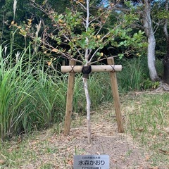 草抜き1時間2000円～