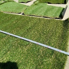 人工芝　の画像