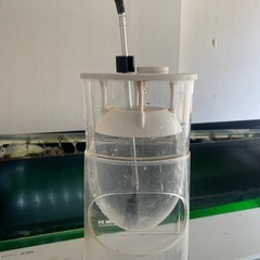 ブラインシュリンプ孵化器