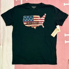 デニムアンドサプライラルフローレン　Tシャツ　アメリカフラッグ
