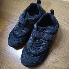 瞬足（20.0㎝)