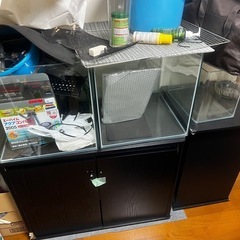 大型水槽一色
【個別相談賜ります】