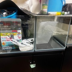 大型水槽一色
【個別相談賜ります】の画像