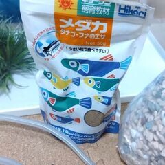水槽セット　ポンプ付の画像