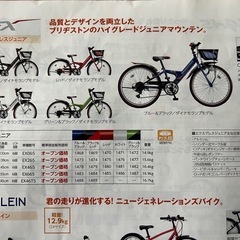 ブリヂストン自転車エクスプレスジュニア20㌅ (みね) 東大垣の自転車の
