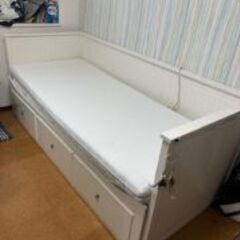 ベット