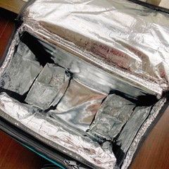 [未使用] Wolt 公式 配達バッグ / フードデリバリー 4の画像