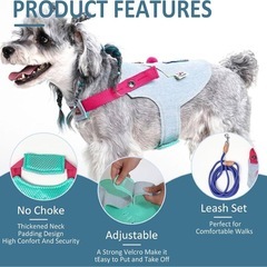 【S】犬用ハーネス　小型犬用　デニム　ハーネス　リード　ブルー　胴輪の画像
